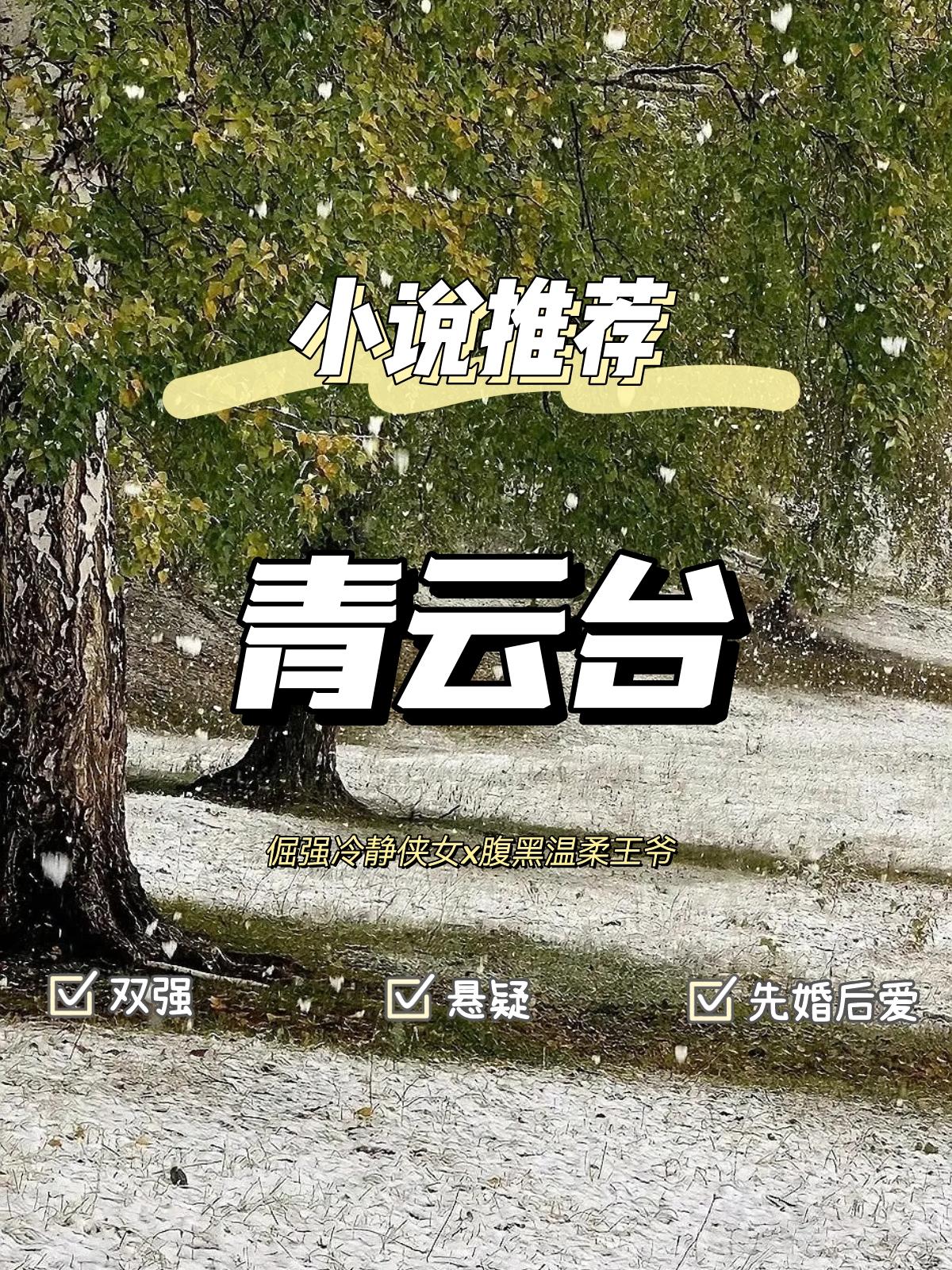 双强古言悬疑权谋言情小说 先婚后爱群像文。书名：青云台 作者：沉筱之 ...