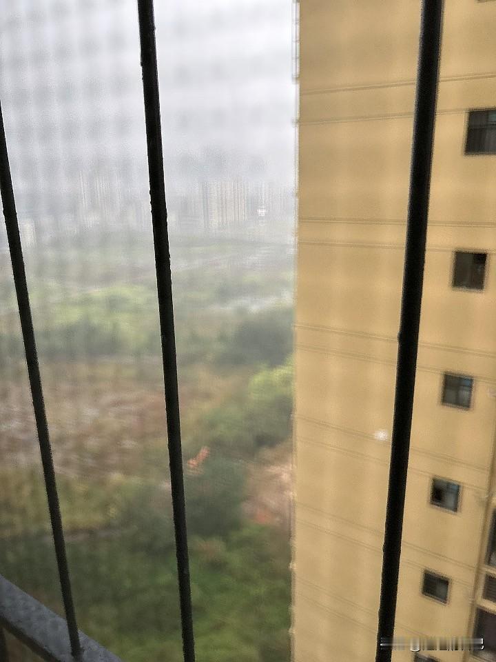 下雨了，而且没有停下来的意思
洗了三天的衣服还没干
南宁🆚北海舒服多了
因为北