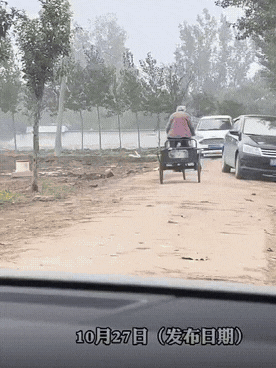 太可悲了！一条乡间小路上，一位老人蹬着三轮车大摇大摆地在路中间行驶，对面好几辆汽