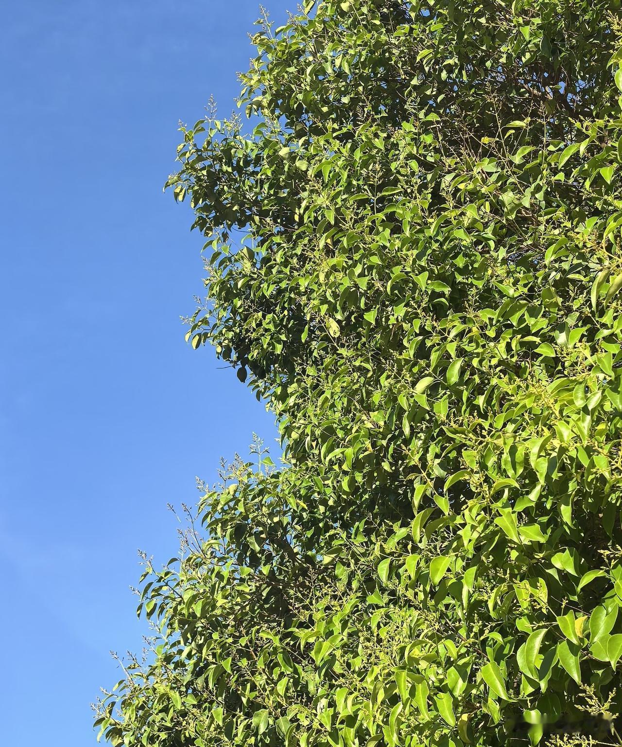 养大一个孩子,到底要花多少钱?
普通家庭养到18岁平均要五十多万
读到大学快七十