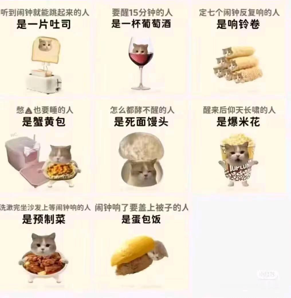 你是哪种 ​​​
