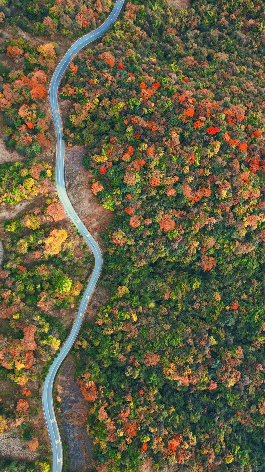 🍂原来中国最美的秋色在这里