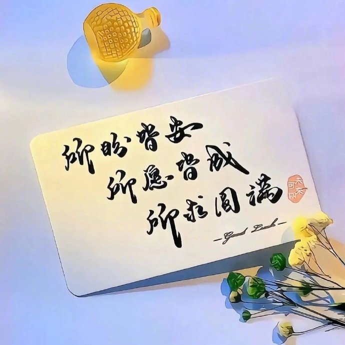 🌷𓐃 "敬此刻倔强又疲惫的自己   前路漫漫 苦乐独尝 静待花开！"