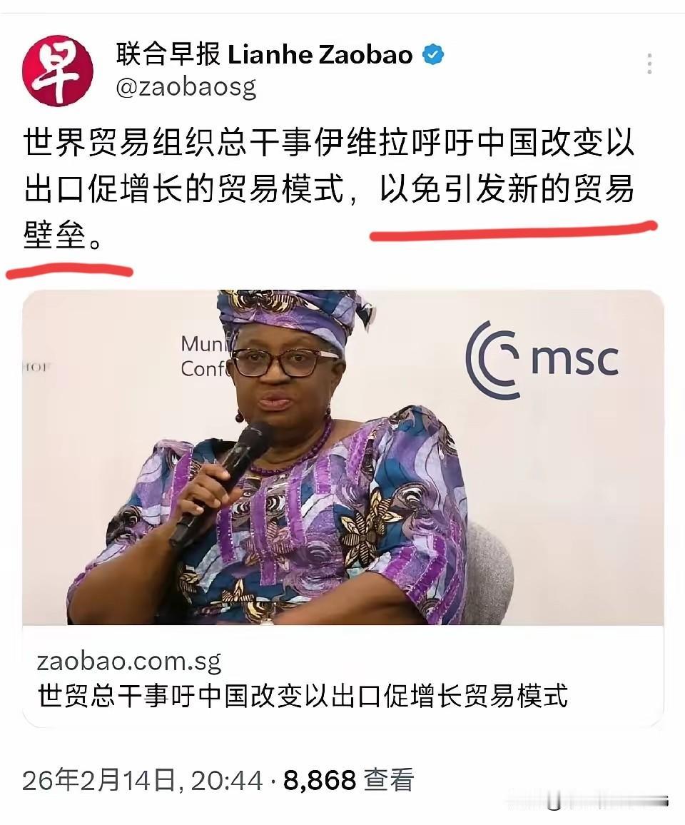 劝中国改变以出口促增长的贸易模式以避免新的贸易壁垒。这个世贸组织总干事真是白干了