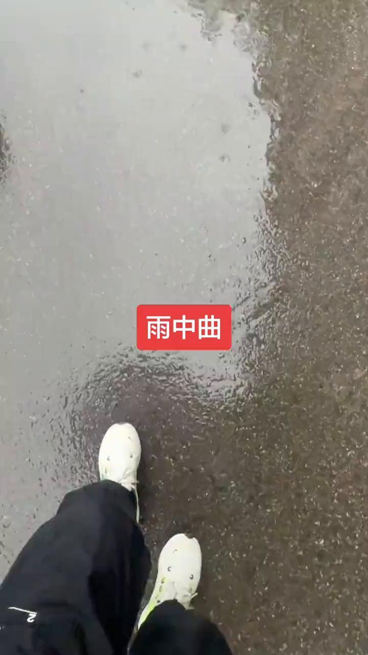 雨中曲。
雨中曲。