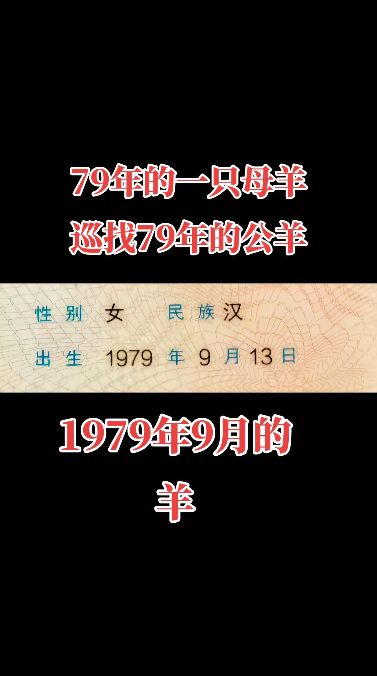全网寻找 证件照 79年的羊 羊 寻找同年同月同日的你