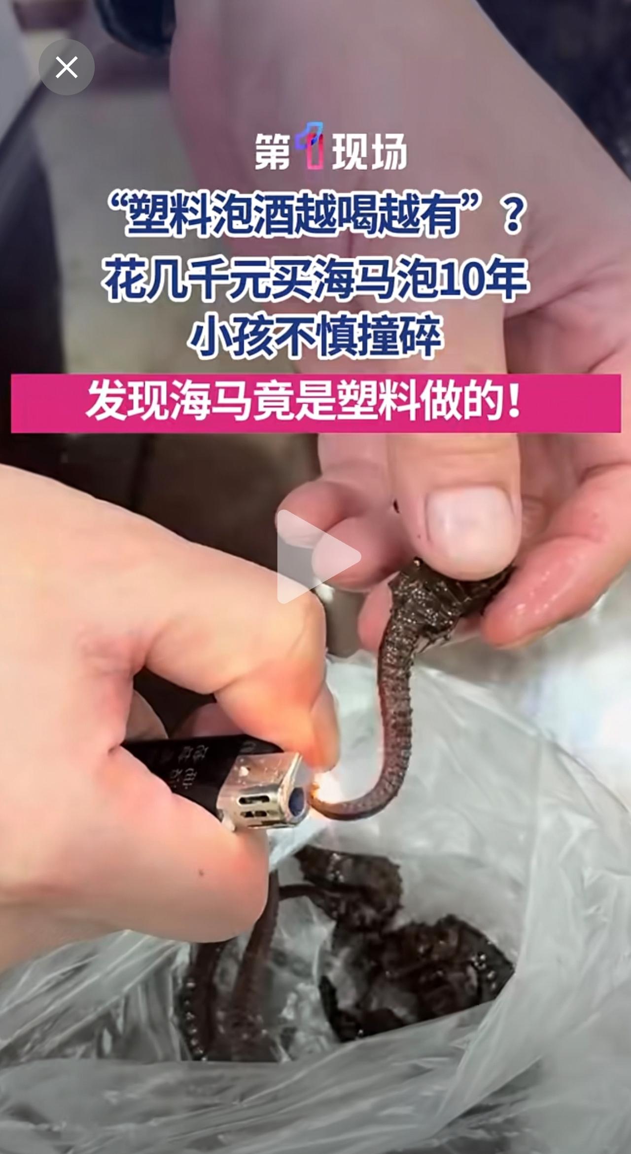 12月6日，广东梅州一网友表示，老爸花几千元买的海马泡了十几年酒，近日儿子撞碎酒