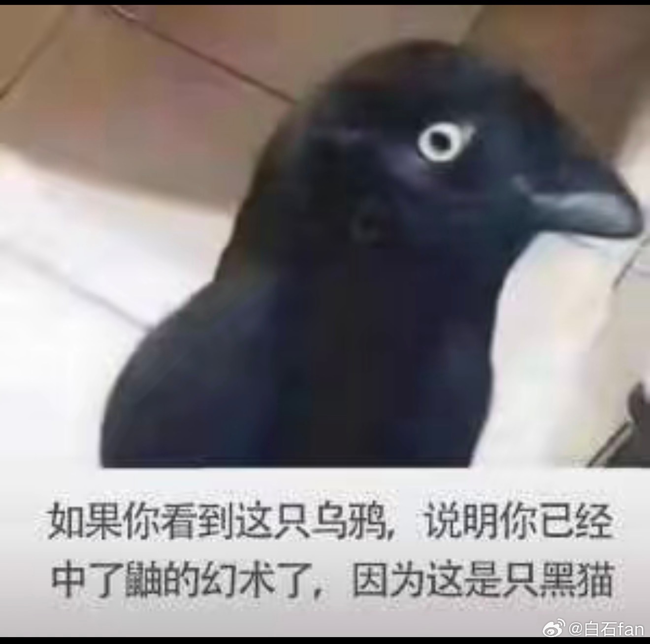 出发上海了！ 灵武·银川河东国际机场