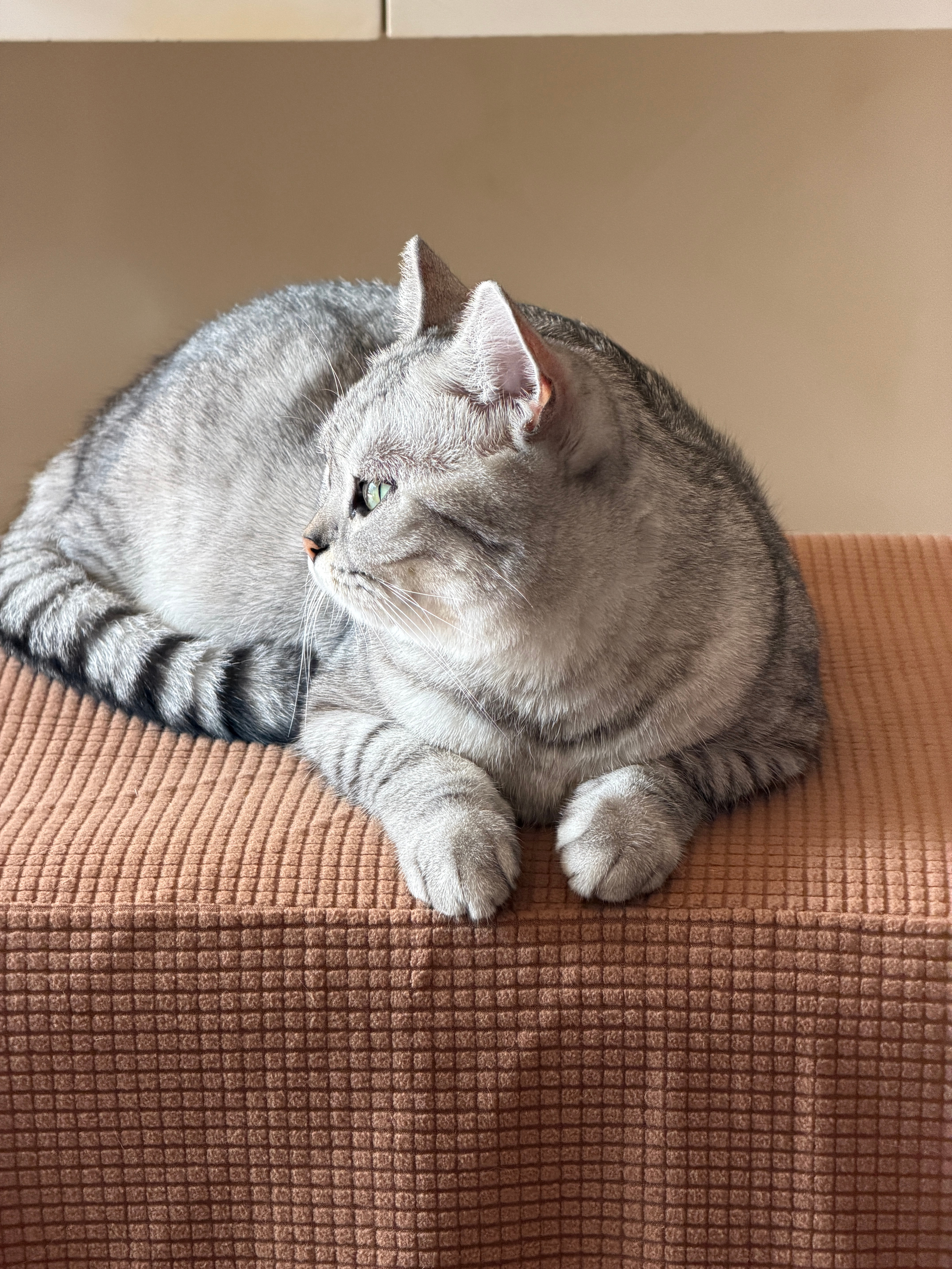 脚上好，旱安，宝见，受你一靠子！ ​​​