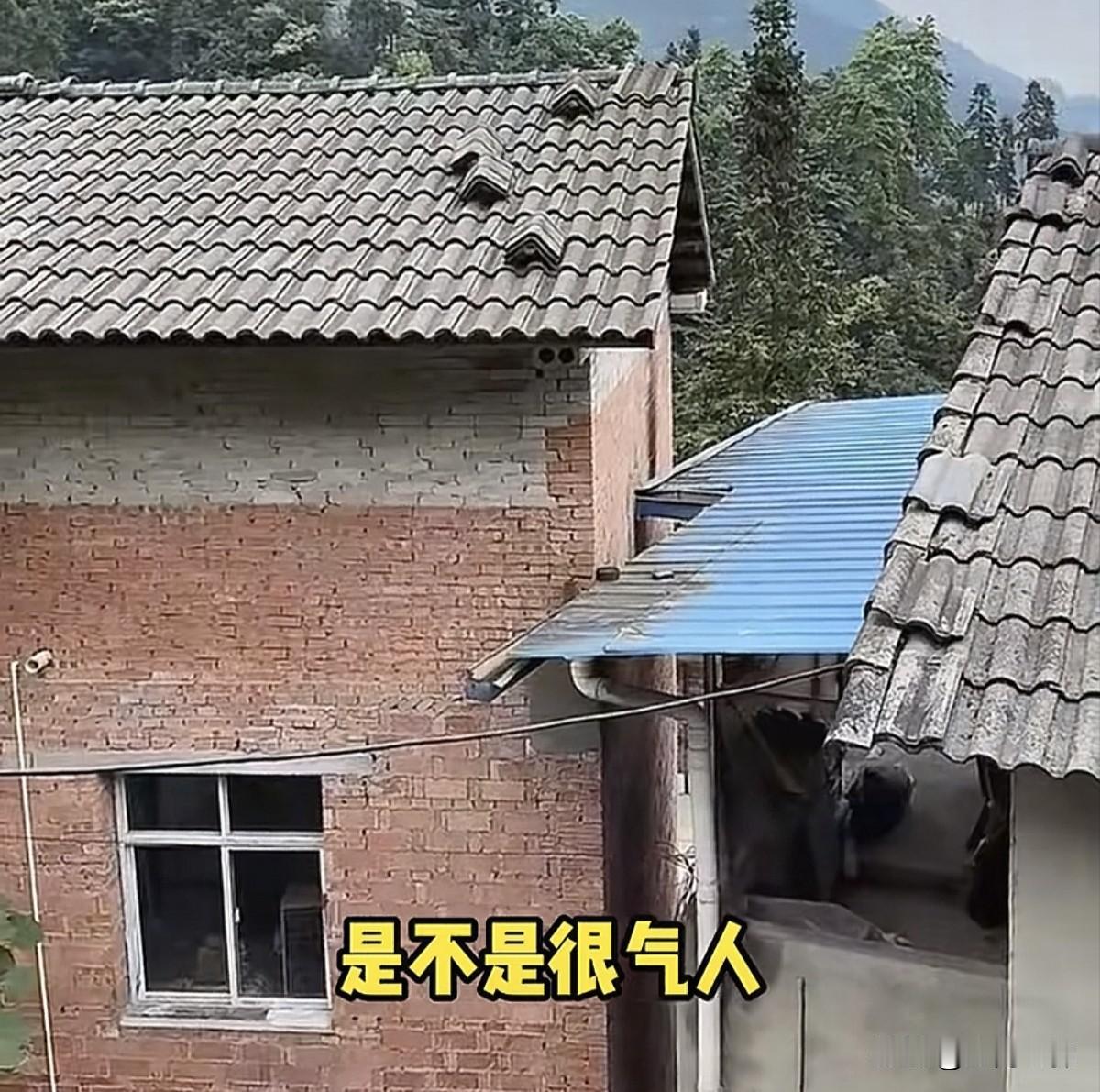 湖北省宜昌市夷陵区太平溪镇一村庄出现村霸，百万粉丝博主子安父亲被打的离开村子十几