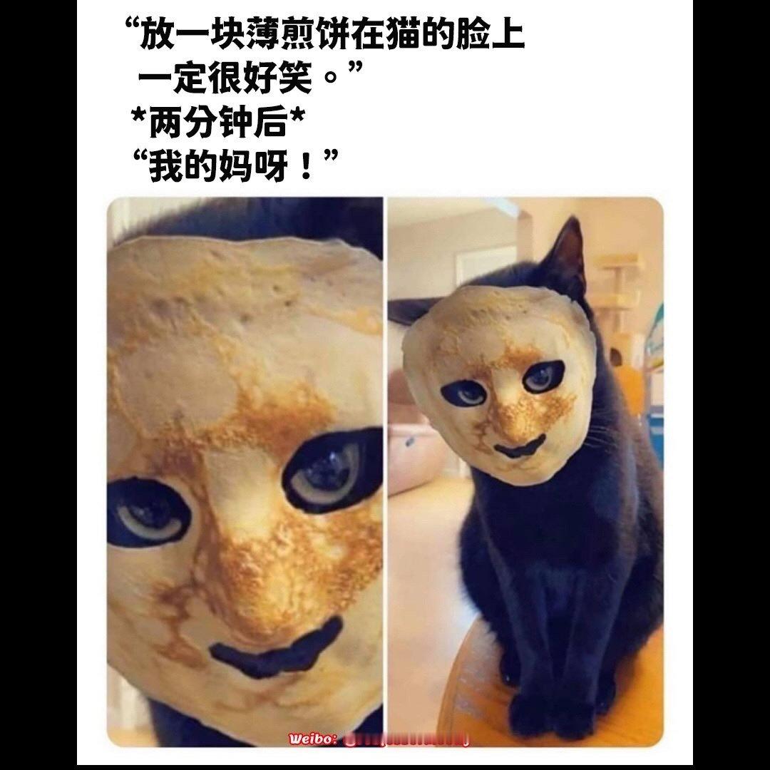 猫猫偷偷吓死你的概率很小，但不可能是0 ​​​