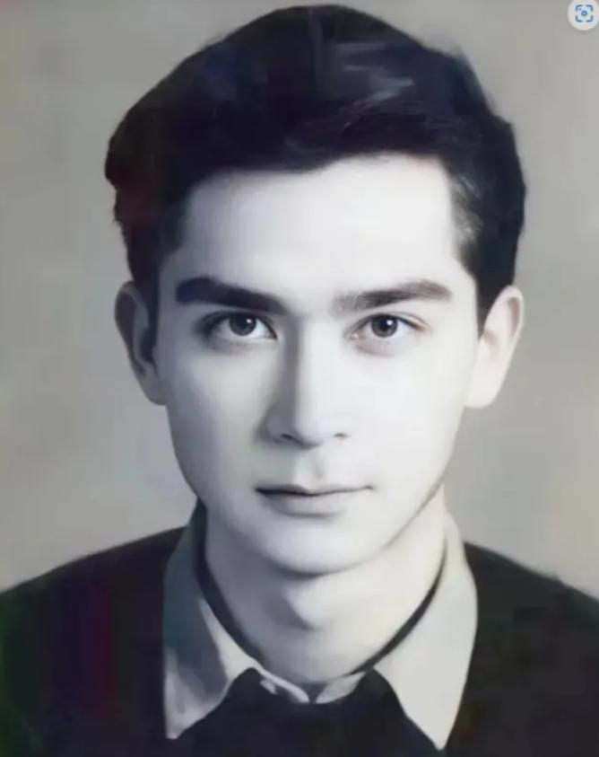 1963年，石油专家王德民，因为长得英俊，追他的女孩排成长队，他烦得眉头紧皱，放
