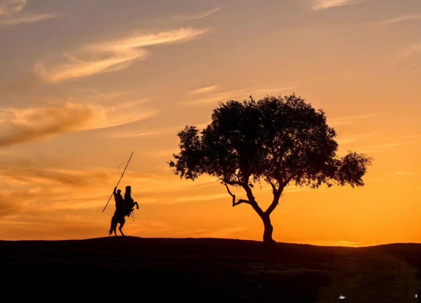 随着这几年移动影像的不断突破，许多摄影爱好者也都越来越习惯用手机记录生活，得益于