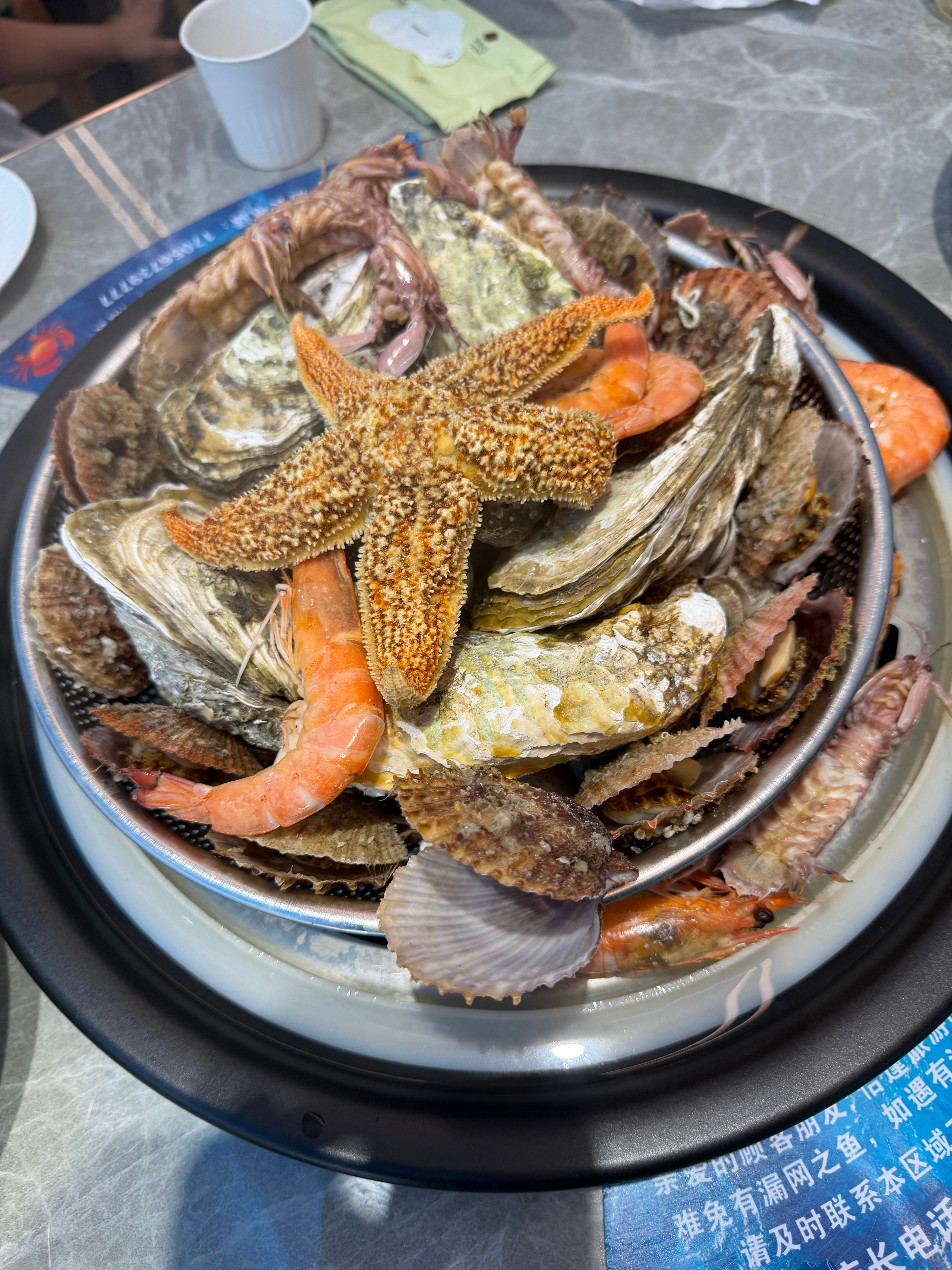 这个季节的青岛是真的不错，二十几度，完全不热，尤其是海边，风一吹，凉快的很，比西