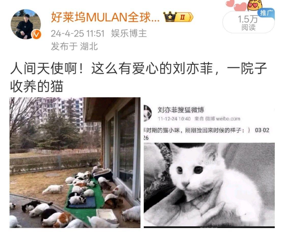 好莱坞成绩超牛，热衷公益，真是爱国仙女刘亦菲啊！人品好，所以咖位也这么高