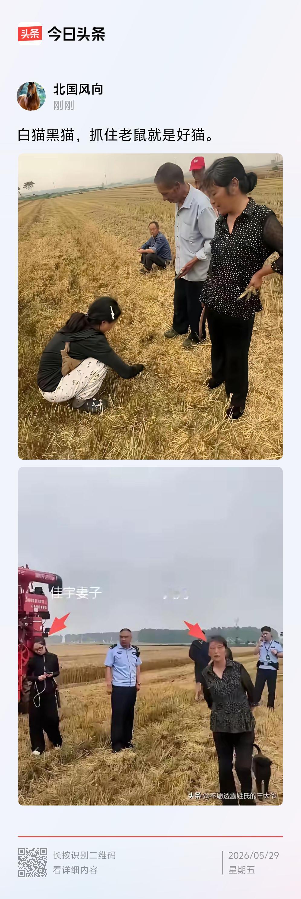 以法治国是惩恶，惩恶才能扬善。
割四赔五是以法治人，以法讹人。