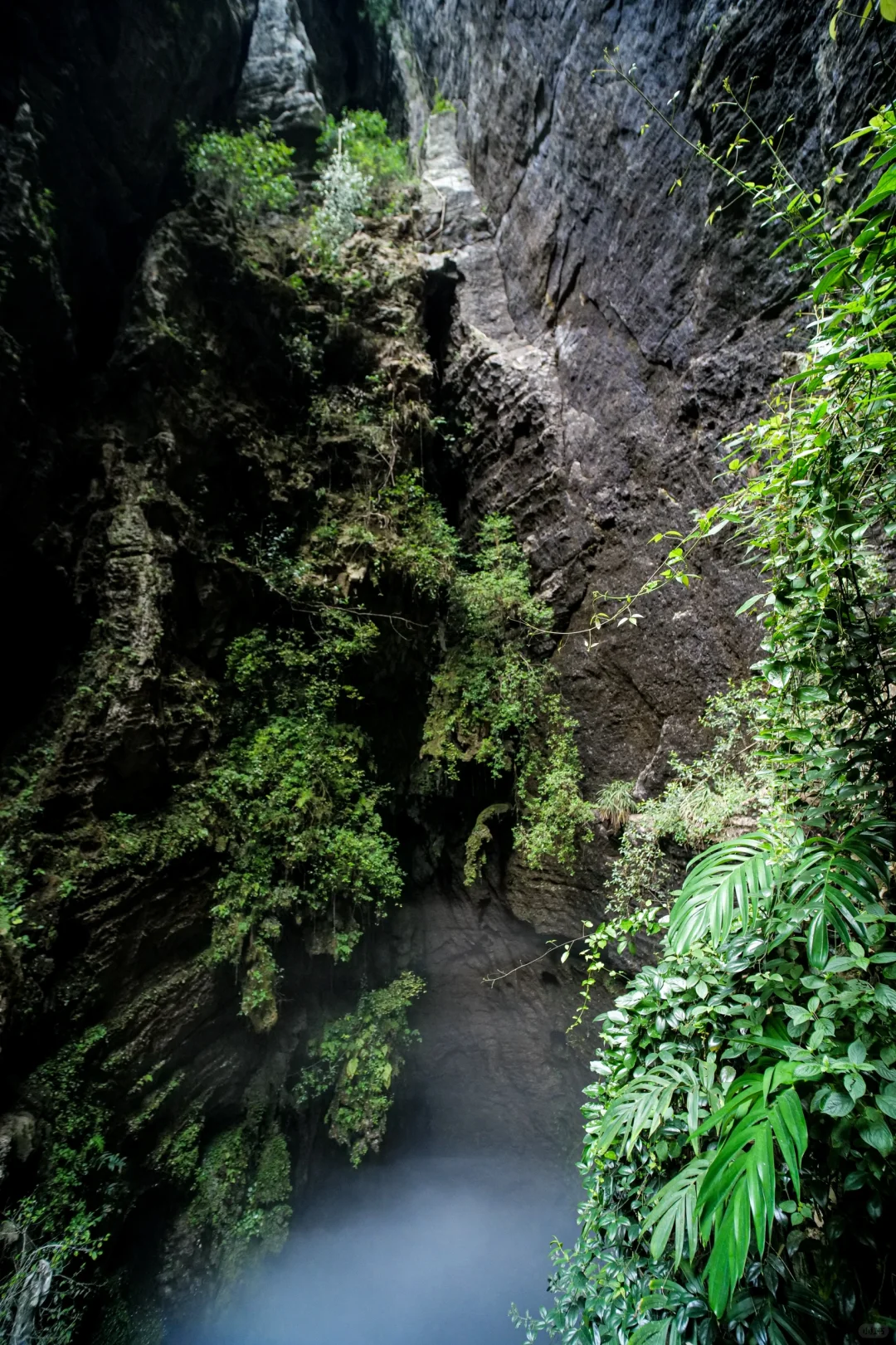 地心历险记 探索桂西北超大型天坑