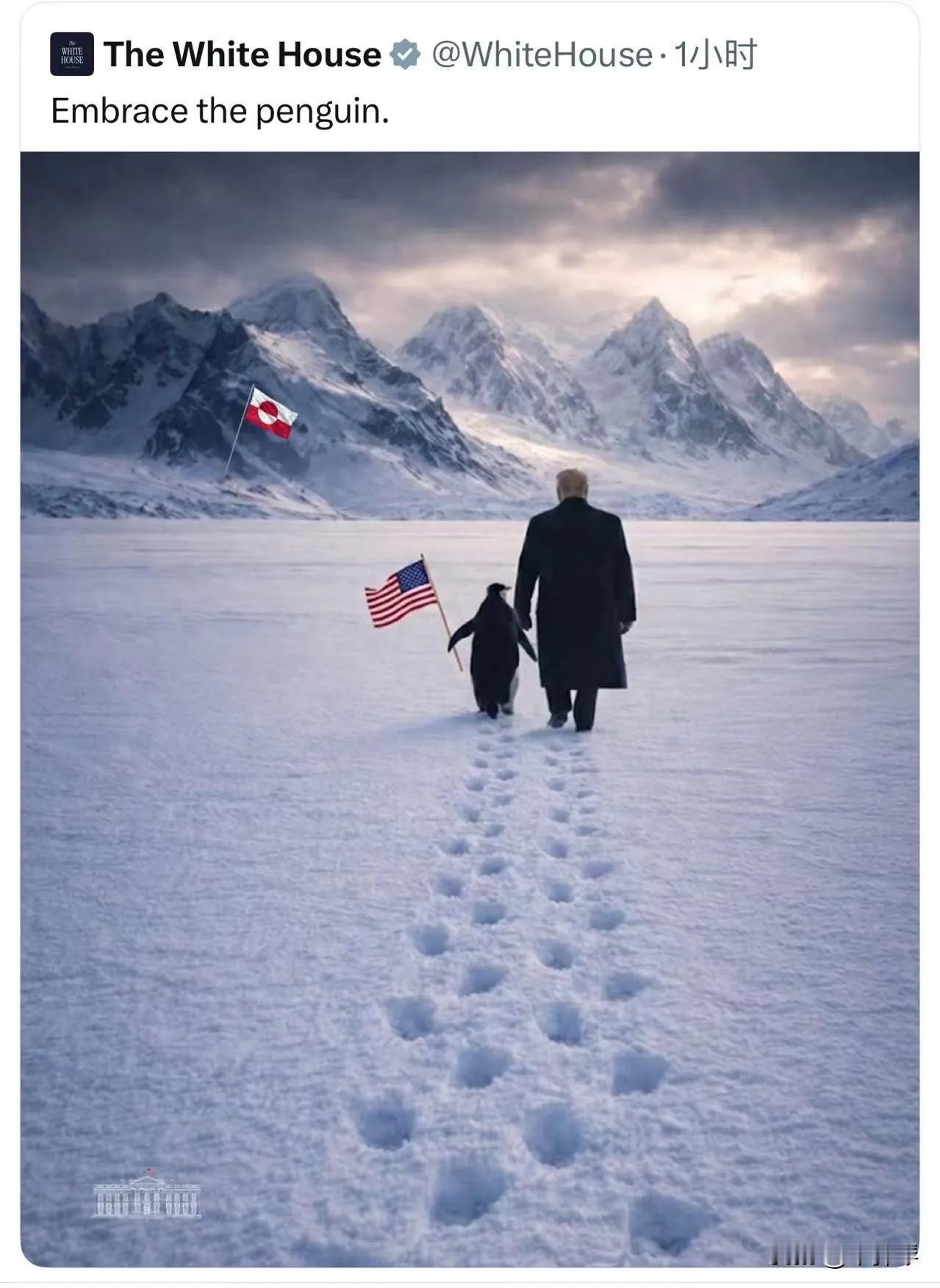 川普与企鹅漫步雪原，对格陵兰有想法。北极没有企鹅