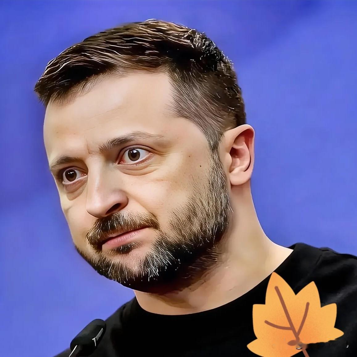 快讯！泽连斯基公开承认
2026年1月17日，乌克兰总统泽连斯基公开承认：乌方防