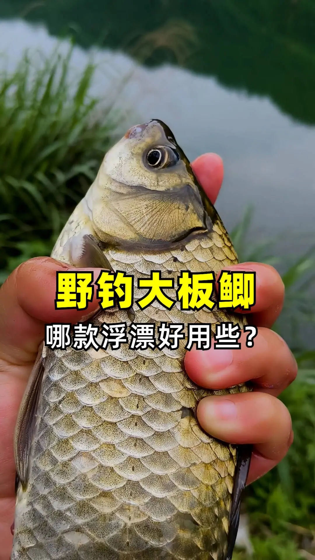 哪款 好用些？ 我用的是福王渔具的孔雀羽浮漂，60厘米长的长尾行程鲫鱼...