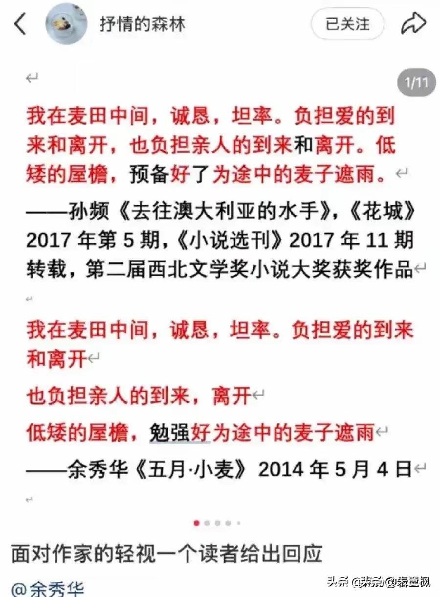 看网上爆料这篇文章有点意思:
《一名吃皇粮的作协作家，抄袭一个脑瘫农妇:文坛体面