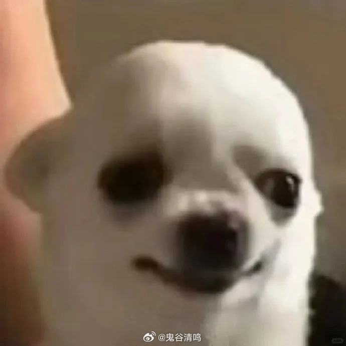 怎么看都是男主身边npc小弟的水平……这个寸头膀子衣品全部都很平平无奇（真）……
