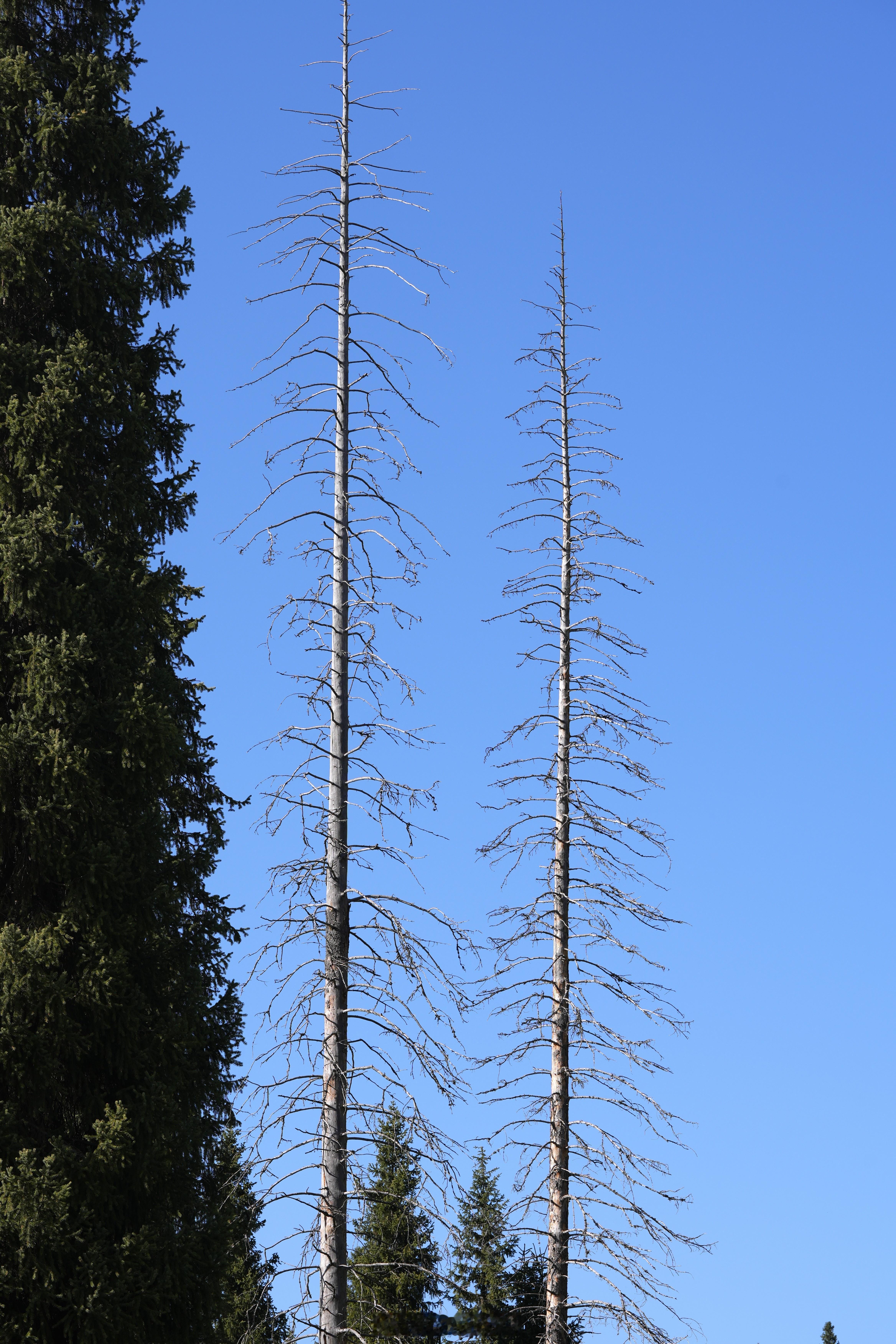 春节后一大波新机即将到达战场，你们最期待哪个？