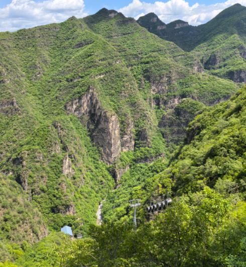 印度这波真扛不住了！民生与工业物资全线告急，石油、化肥、电力和食用油接连短缺。面