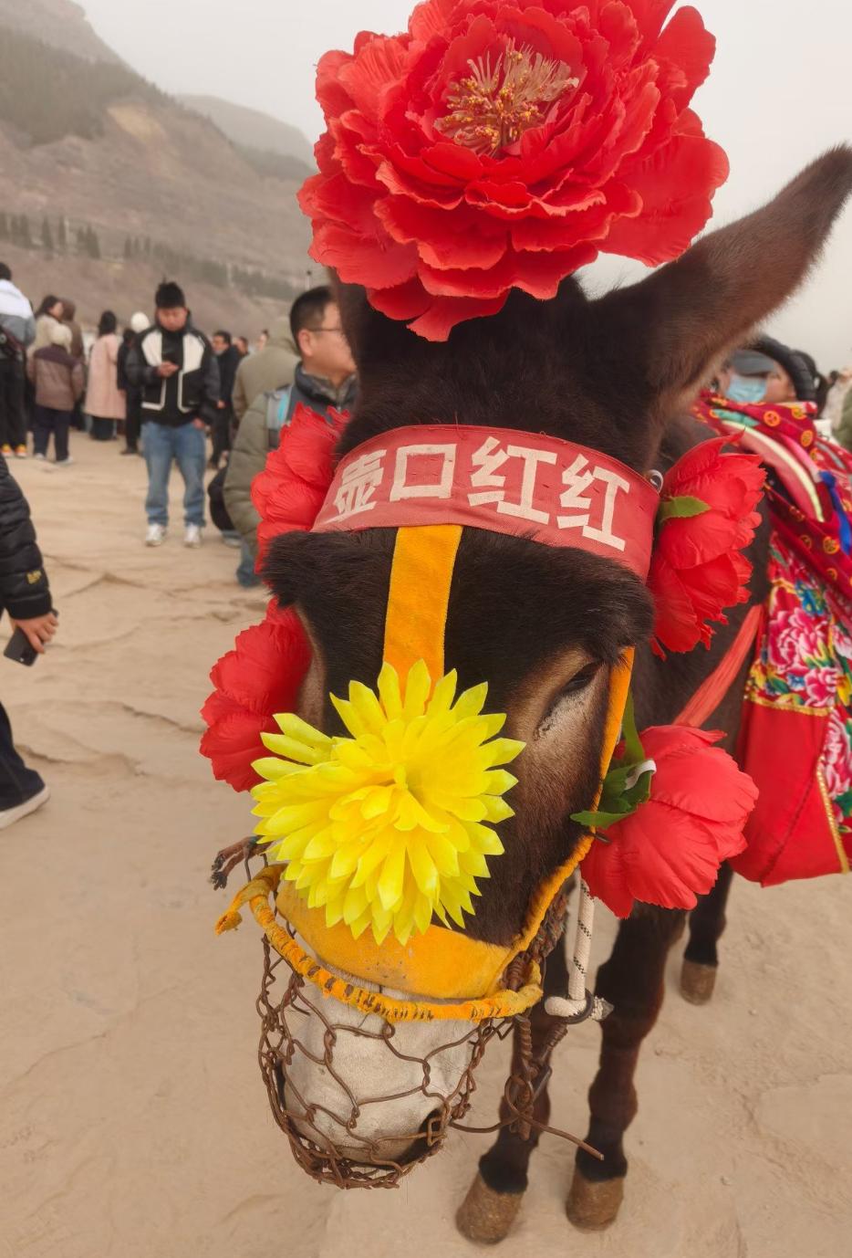 爱好旅游有一点好处，那就是每次出行前的心情，千金难买！

那是一种期盼带来的甜蜜