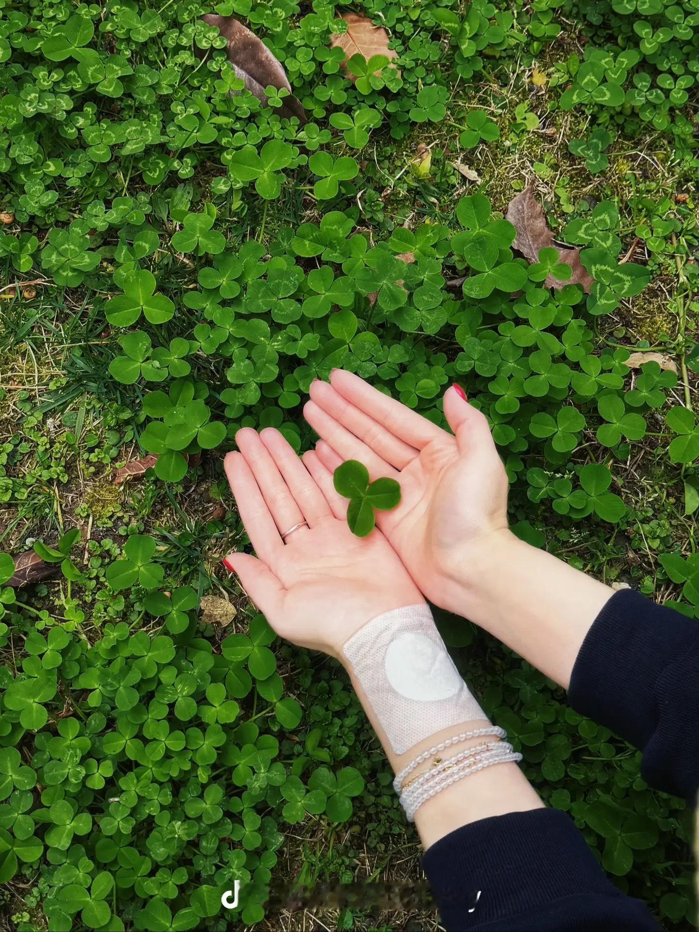 小老露穴位贴的应该是内关穴 ​​​