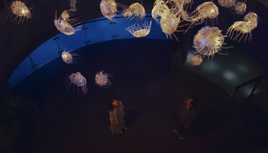 早安🌞“在这里有种既自由，又不自由的感觉。我一看到它们，会觉得自己摆脱了重力。