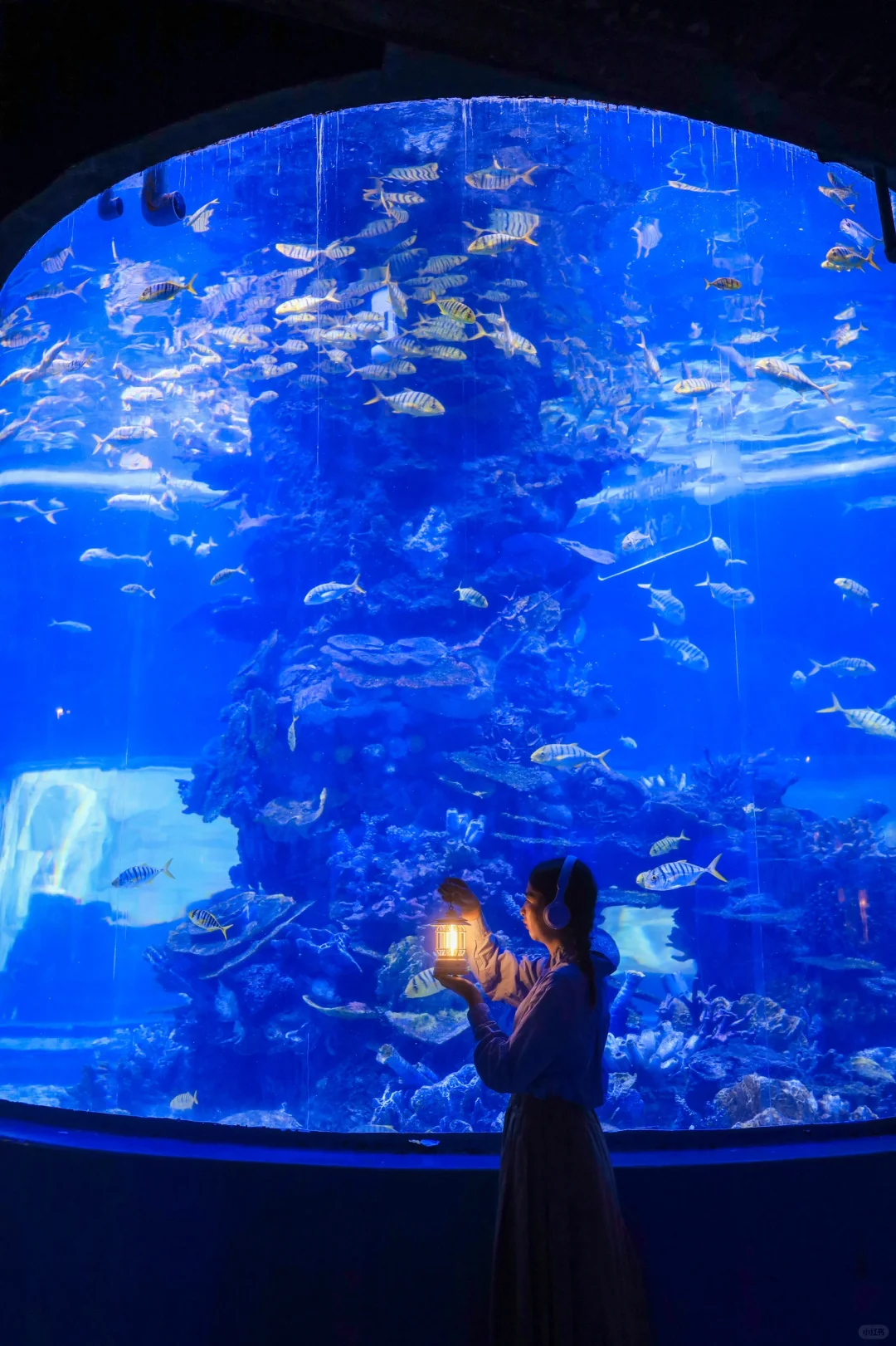 人生建议❗️十一来武汉东湖别错过这条路线