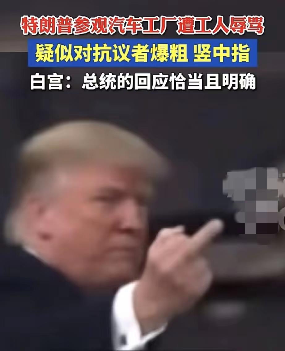 川普的这个手势，挺别致啊，咋就没人上去揍他一顿呢？可能是他年龄大了，扛不起揍吧