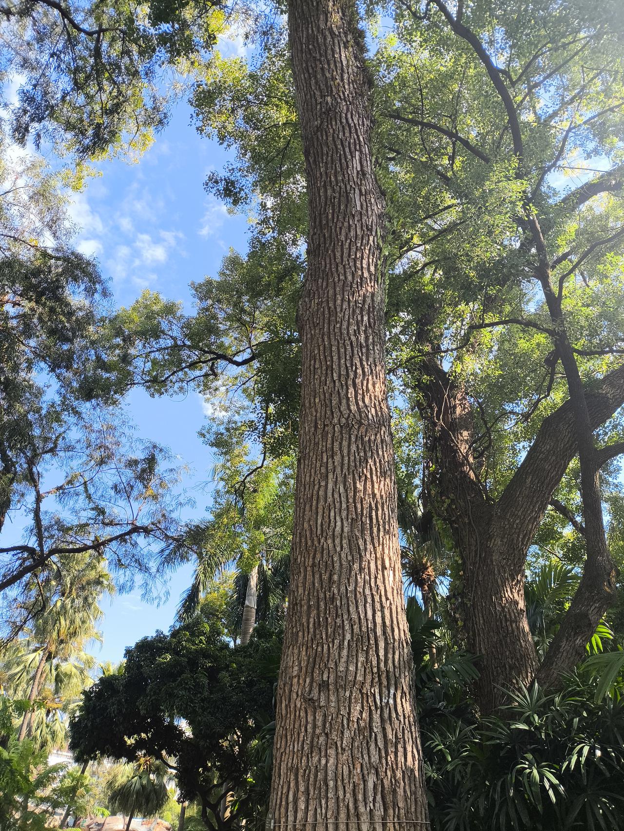 有哪些成语里面包含历史人物的有趣故事？说几个成语——
1、安然无恙——此句成语出