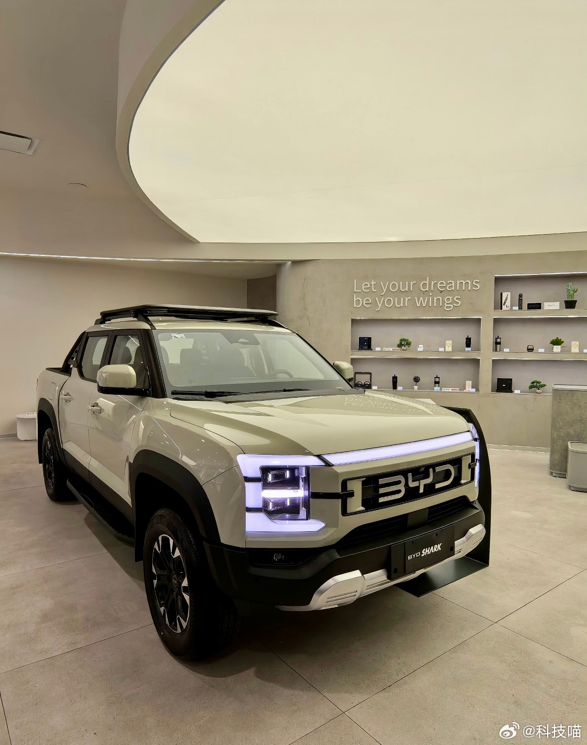 中国皮卡热销全球2025中国皮卡全球销量TOP101. 长城皮卡：181660辆