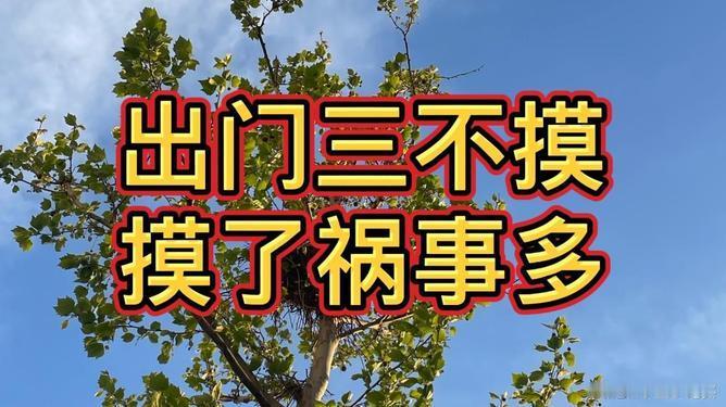 出门三不摸
       老辈人常言 “出门三不摸，摸了祸事多”，其中门道颇多。