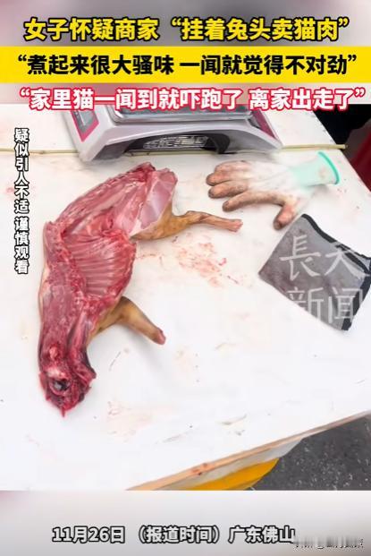 广东，女子买兔肉，做好后吃着味道不对，家里的猫更是吓得四处逃窜、浑身发抖，女子这