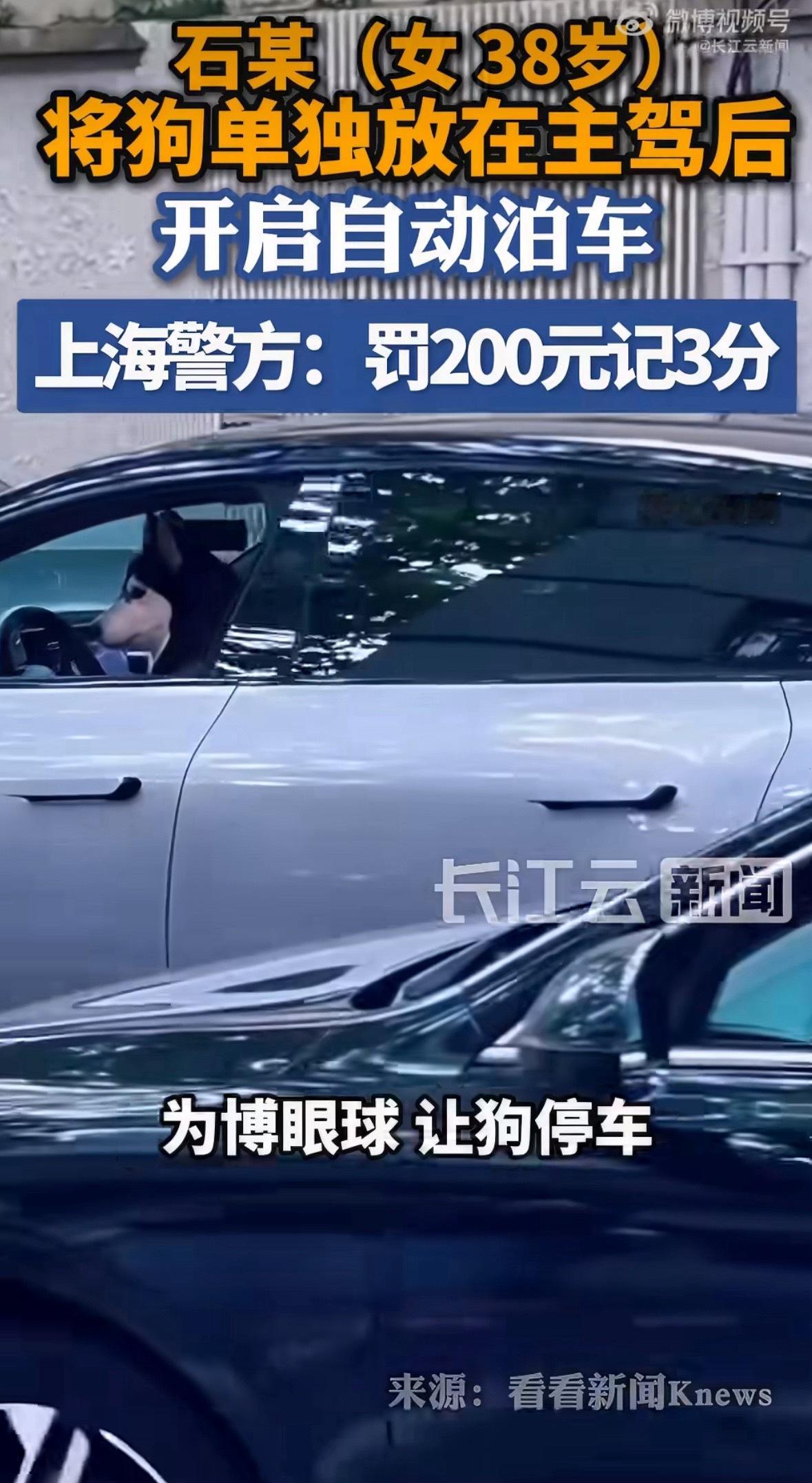 女子为吸睛竟把狗放主驾开自动泊车：罚款200，记三分。 