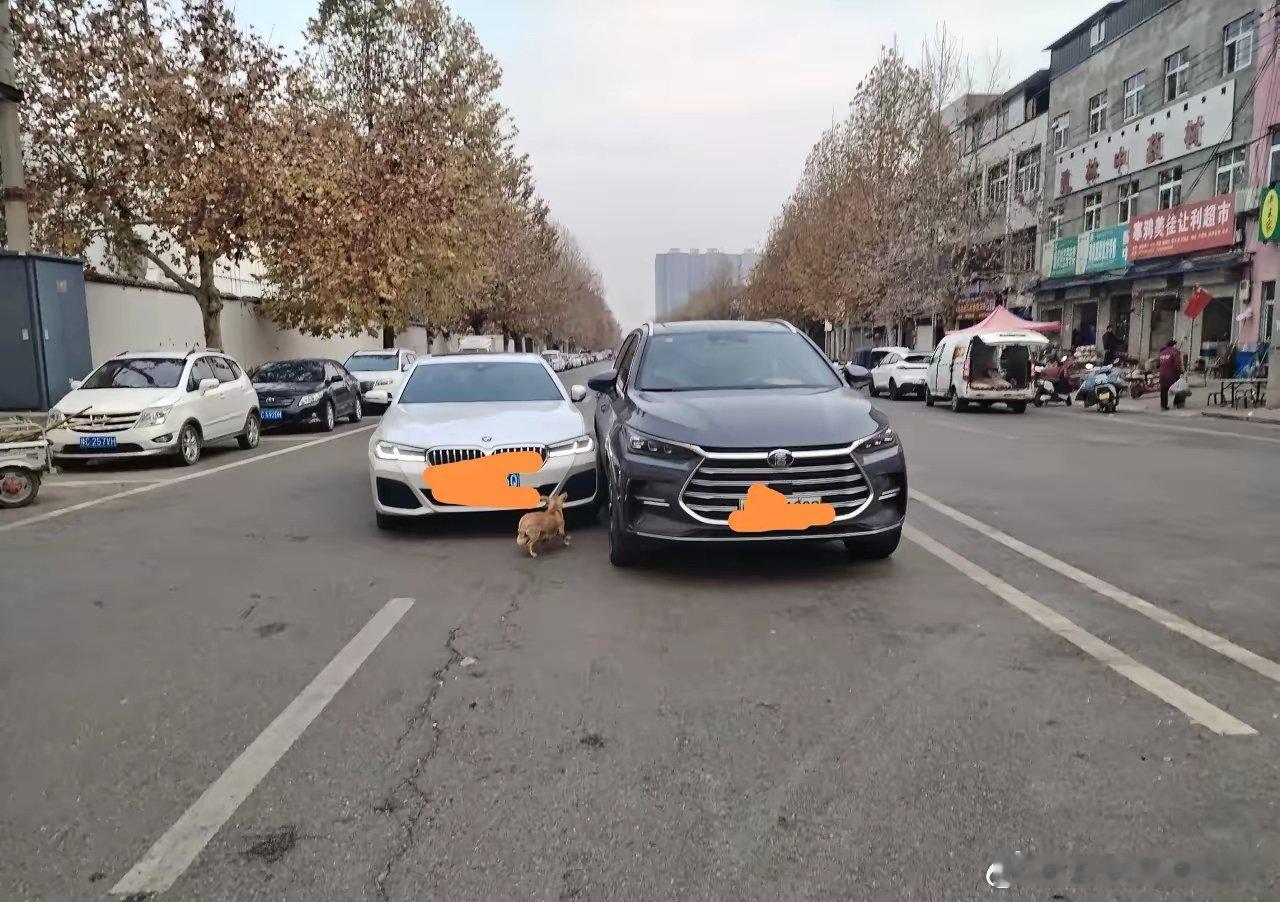 比亚迪唐 DMI 的“一血”就这么没了[捂脸]。23 款冠军版和宝马 5 系的对