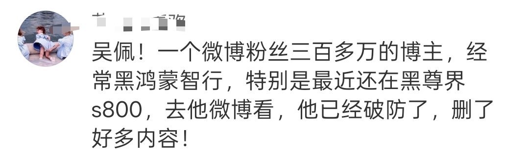 打击黑公关那个话题下，我是怎么都没想到，吴佩被那品牌的粉丝称作黑子，人家天天和你