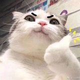 大甜甜爱品影视剧