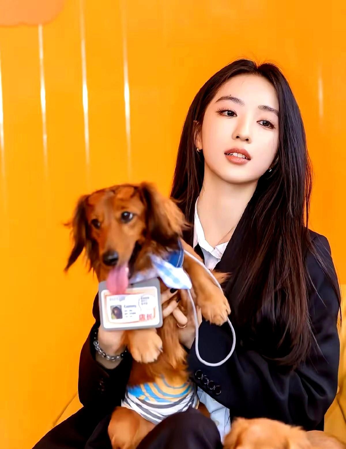 乔欣拍戏到凌晨，晚晚卖袜子被骂贵，吴千语靠老公的店年入上亿——这年头，嫁入豪门不