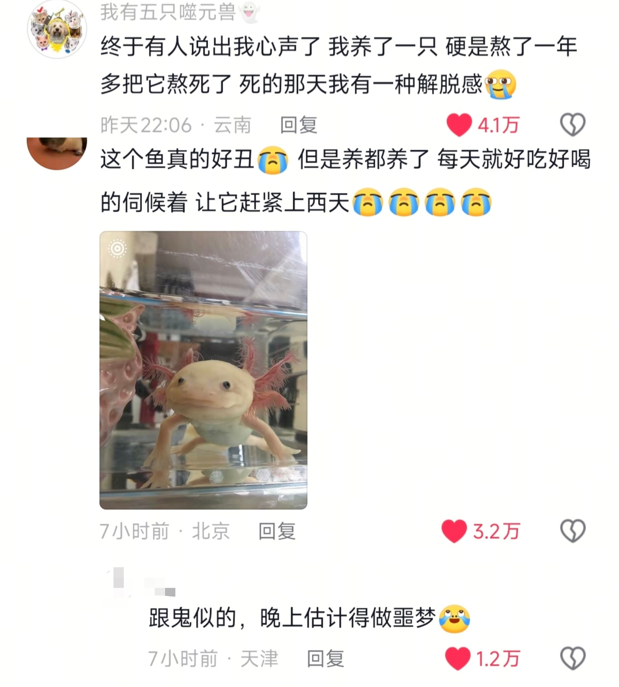养了蝾螈才知道自己有多歹毒啊？这鱼🐠有那么可怕吗原帖plq好多人诉苦。。。🤣