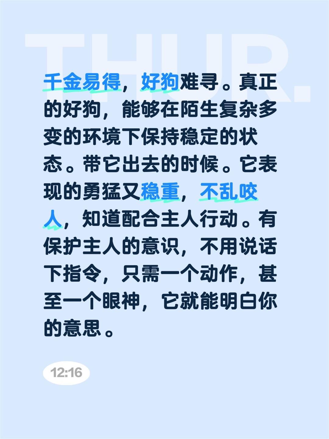 千金易得，好狗难寻。真正的好狗，能够在陌生复杂多变的环境下保持稳定的状态。带它出