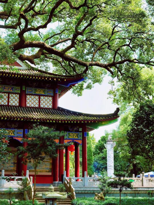 五一逍遥游龙虎山 | 大学生专属丹霞秘境攻