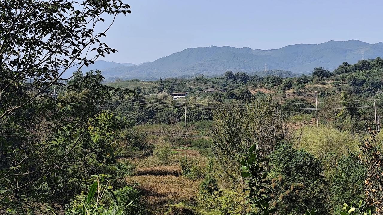秋日生活打卡季乡村风景欣赏！分享一张自然风景的照片