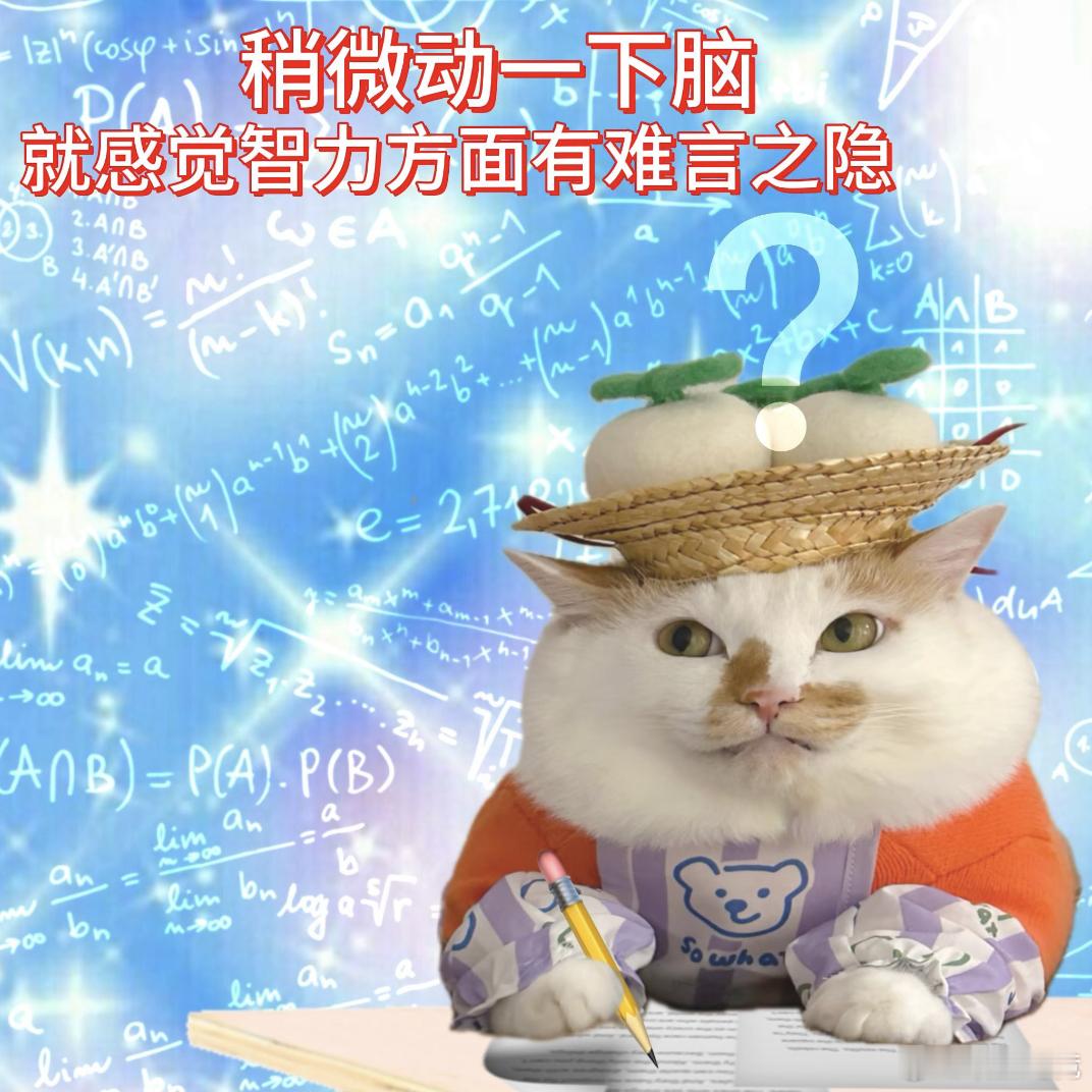 玩加夜话 大家的期末周都结束了吗？2026lck2026lpl 英雄联盟