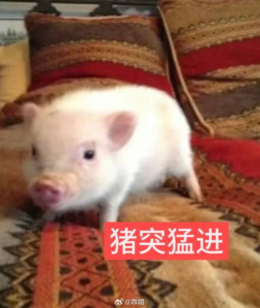 你们打开手机就能领到免费装扮的活动是哪里参与的？ 