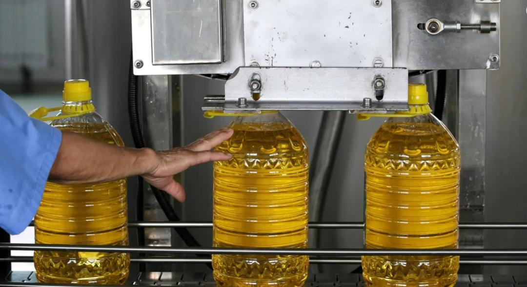 “出口花生，进口油” 缅甸代总统点破产业困局，敦促扩大油料种植