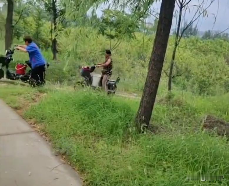 “偷鸡不成蚀把米！”两位大妈去地里偷李子，主人发现之后没有选择打草惊蛇，而是让大